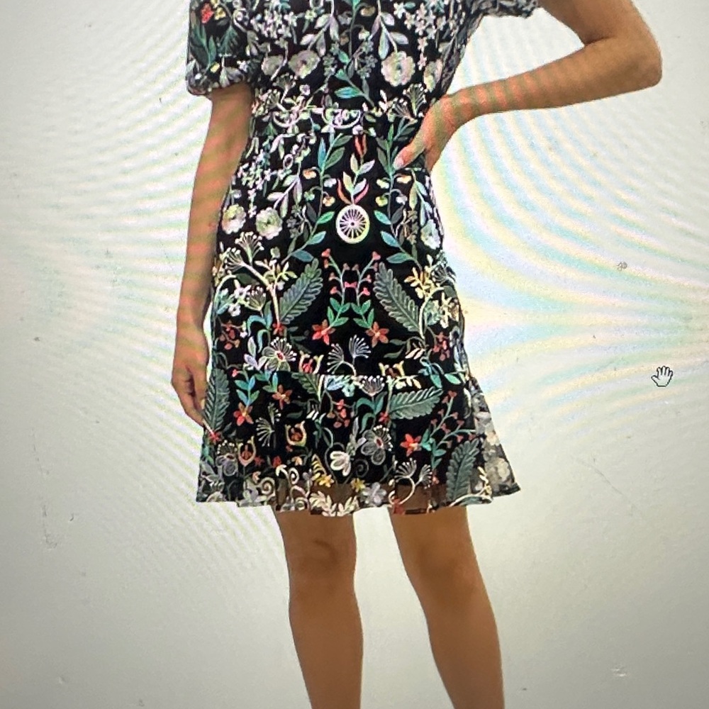 Sam Edelman Size 8 Black Floral Embroidered Short leeve Dress